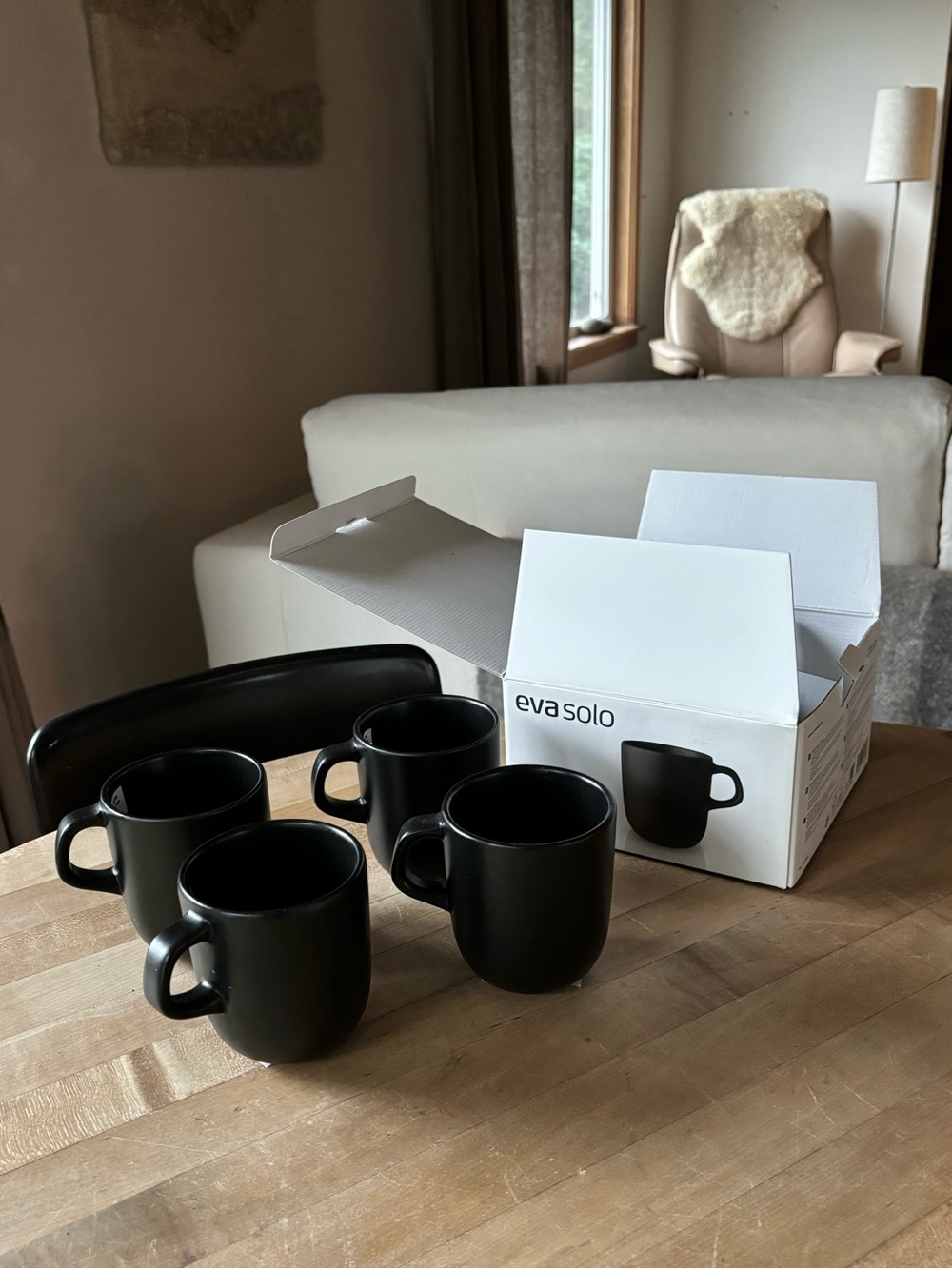 NWT Eva Solo Nordic Mugs